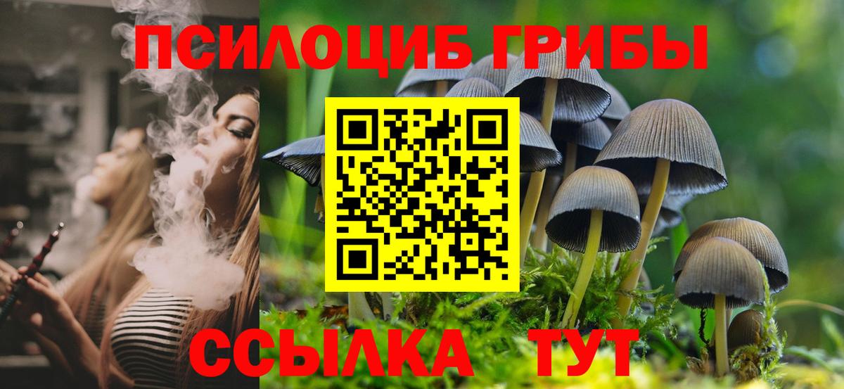 Псилоцибиновые грибы Psilocybe  Вход с VPN  Псилоцибиновые грибы Psilocybe  Краснокаменск 